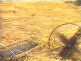 CAMPO - (94)
